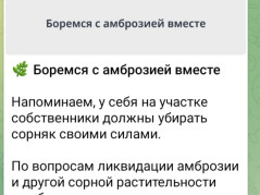 Боремся с амброзией вместе